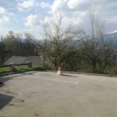 Lucky Radovljica